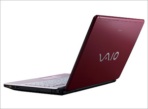 Sony VAIO® FJ Series Laptop