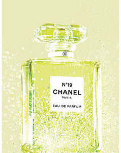 Chanel №19 Parfum