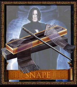 Professor Snape`s magic wand