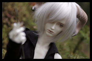 bjd doll