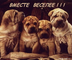 Хочу любви
