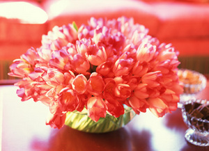 Хочу красивый букет тюльпанов весной ... просто так ))