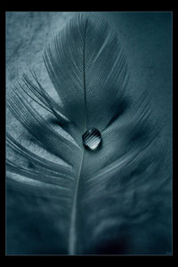 Хочу друзей настоящих.