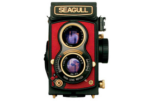 SEAGULL TLR RED / GOLD