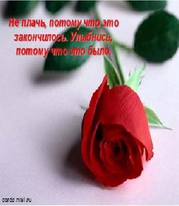 хочу цветочки ))))