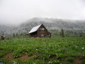 собраться в деревне большой компанией