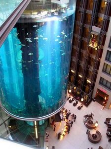 AquaDom, the world's largest cylindrical aquarium