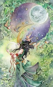 Shadowscapes Tarot by Stephanie Pui-Moon Law