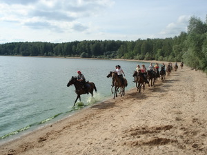 Конная прогулка.