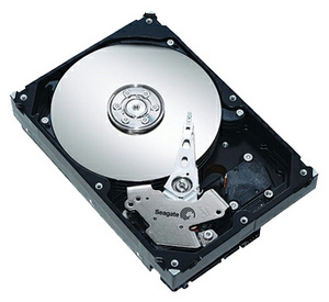 Seagate ST3400620AS