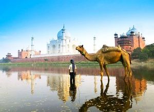 Индийское покрывало, подушки и "посох дождя"