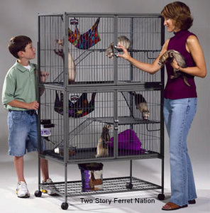 Ferret Nation Cage