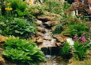 Хочу на дачі мати Японський сад..=)