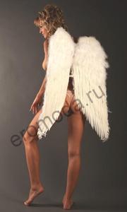 Крылья Ангела