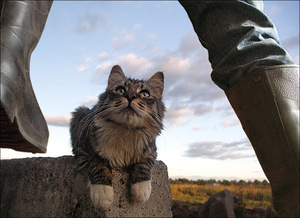 сапожки