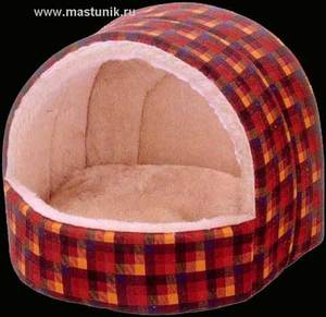 Хочу, чтобы Лелик перестал есть свой дом.