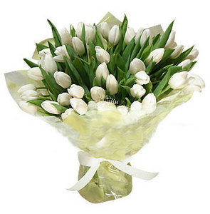 Хочу букет белых тюльпанов!!!