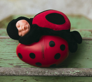 ladybug toy