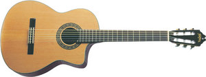 Washburn C104SCE