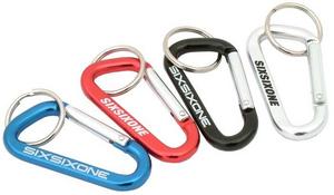 661 Carabiner Keyring