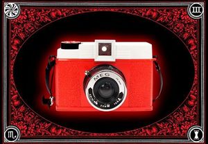 The White Stripes Lomo Cameras