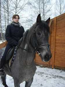 опять заниматься верховой ездой