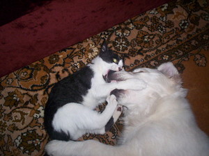 Рамка с двумя стеклами, а между ними вода или что-то в этом духе, и песок разноцветный. Переворачиваешь ее - и песок красиво пер