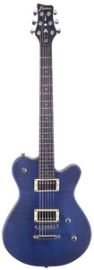 Framus Panthera Pro