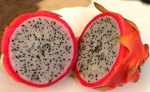 Dragon Fruit