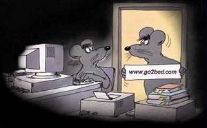 выучить, наконец-то, все билеты по информатике!