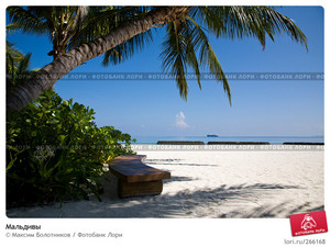 каникулы на Мальдивах