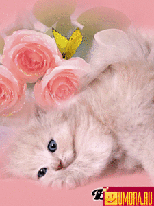 Любите меня!