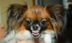 Найти на сайте много друзей!!!