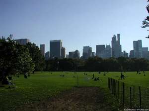 living in Manhattan