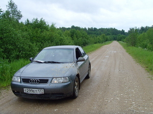 Продать свою Лапу