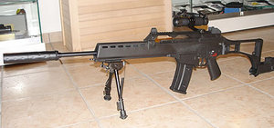 G36