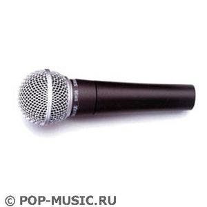 МИКРОФОН SHURE SM48S