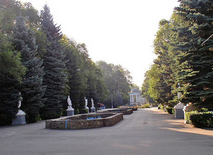 поехать в Волжский