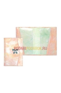 Обложка для паспорта