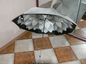 зонт-трость от Pasotti