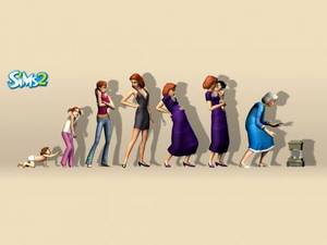 the Sims2