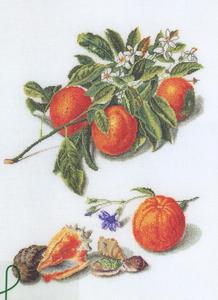 "Fruit Sampler", Thea Gouverneur