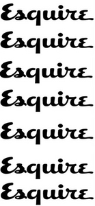 Подписка на журнал Esquire