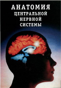 Сдать экзамен по анатомии ЦНС