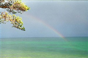 Чтобы после дождя всегда была радуга