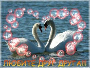 Взаимная любовь и сведьба