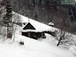 Каникулы в Карпатах