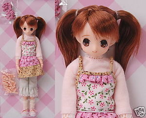 AZONE 21cm Dollfie Chisa / My First Diary - eBay (item 280256347320 end time Dec-12-08 01:50:59 PST)