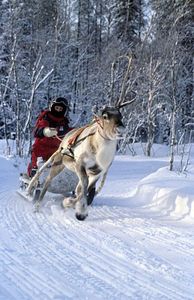 Поехать в на новый год в лапландию.