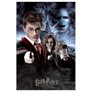 плакат с Гарри Поттером